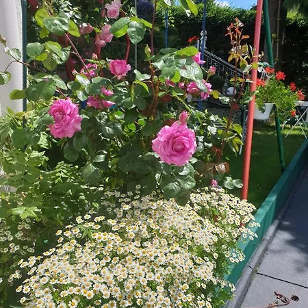 Haus Herzog טיטיזי-נוישטאדט