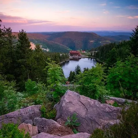 Haus Herzog تيتيسي نيوستادت