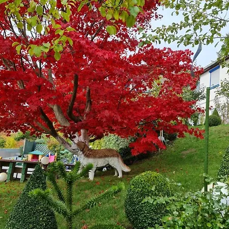 Haus Herzog * Titisee-Neustadt