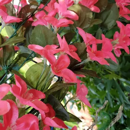 Haus Herzog דירה *