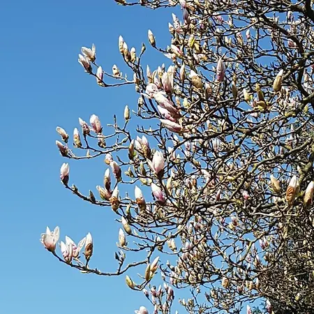 Haus Herzog דירה טיטיזי-נוישטאדט