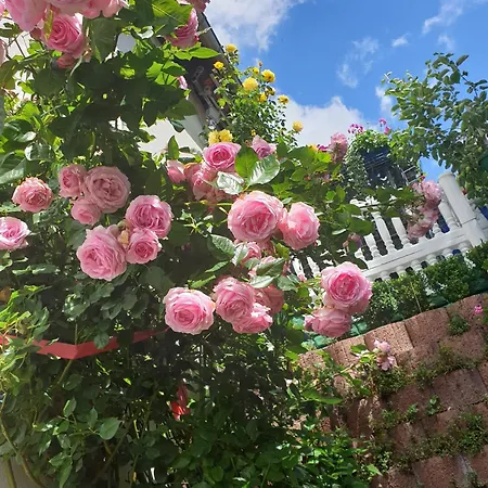 דירה Haus Herzog