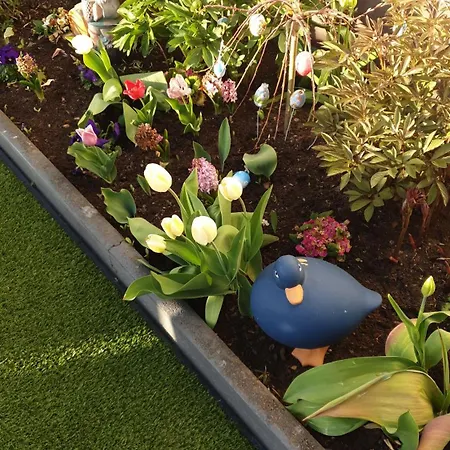 Haus Herzog דירה