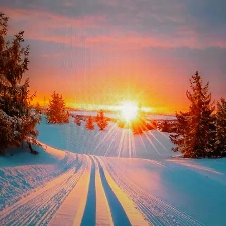 Haus Herzog טיטיזי-נוישטאדט