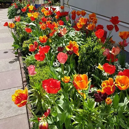 Haus Herzog דירה טיטיזי-נוישטאדט