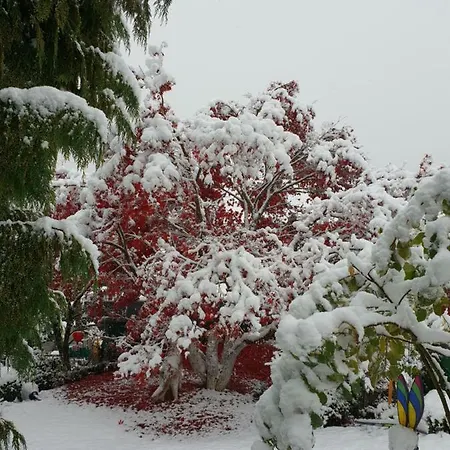 דירה Haus Herzog *