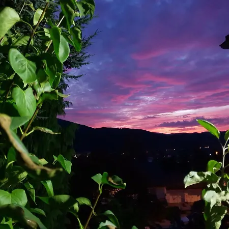 דירה Haus Herzog