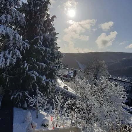 Haus Herzog דירה